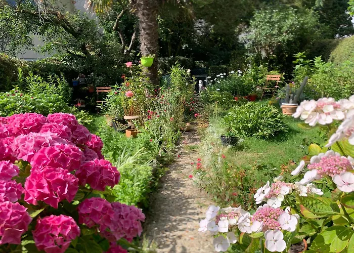 Mirdou62 Homestay Boulogne-sur-Mer